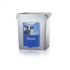 <strong data-end="255" data-start="205">Energidrikk for rask restitusjon etter kalving</strong>