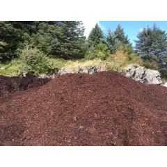 Kan ikke bestilles p&aring; nett, m&aring; kj&oslash;pes i butikk